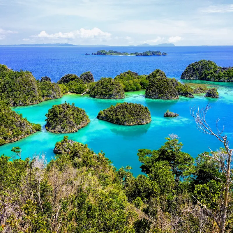 Kali Raja Open Trip | Raja Ampat + Kali Biru | Papua | Explorer.id